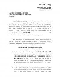 CONTESTACION DEMANDA MERCANTIL. Ejecutivo mercantil - Apuntes - Itzel Flores