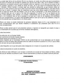 PRUEBAS OFRECIDAS POR EL DEMANDADO. Página 1