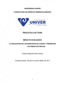 Como es el Protocolo de tesis. Página 1
