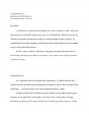 ANTEPROYECTO BICICLETAS ELECTRICAS CICLOMOTORES CANAÁN