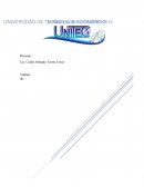 Empresa y estrategia de marketing. Gestión de Mercadeo I