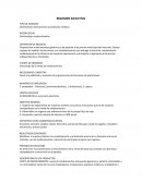 El nuevo Resumen ejecutivo distribuidora