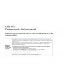 Caso BOJ: Establecimiento filial commercial