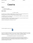 Extracción de la caseina ¿Qué es la caseína?