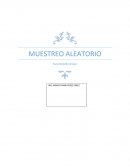 Como es el Muestreo aleatorio