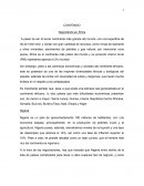 NEGOCIANDO EN ÁFRICA