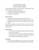 ANATOMIA Y UN RESUMEN GENERAL