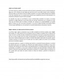 Ensayo de rese;a de ¿Qué es un hecho social?