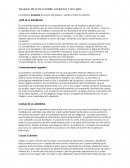 La palabra anorexia proviene del griego y significa falta de apetito.