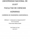 MÓDULO 1 Introducción a la Agronomía 2017 TP N° 6 El Clima