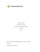 Seminario de infancia. PRIMERA INFANCIA Y EDUCACIÓN EN LA PRIMERA INFANCIA