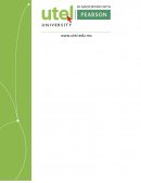 INTELIGENCIA PROFESIONAL ORGANIZATIVA