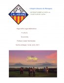 INFORME SOBRE MI VISITA AL TOUR FLOR DE CAÑA.