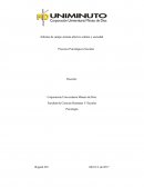 Informe de campo sistema afectivo cultura y sociedad