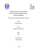 QUE ES EL PAE A PACIENTE PUERPERA MAS NEONATO