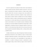 Ensayo grupo nutresa