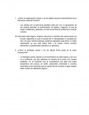 Cómo la organización celular y de los tejidos ayuda al entendimiento de la estructura corporal humana?