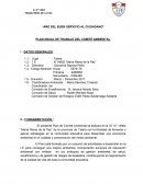 PLAN ANUAL DE TRABAJO DEL COMITÉ AMBIENTAL
