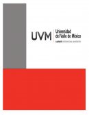 ENSAYO: COMPETENCIAS GERENCIALES