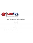 Branding Misión, Visión y Valores de la Empresa