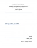 Ensayo de la Familia
