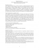 COMO DEBERIA SER UN REPORTE DE LECTURA