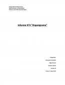 Administración y productividad Informe N°4 “Organigrama”