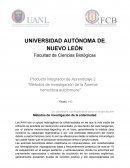 Métodos de investigación de la anemia hemolítica autoinmune