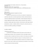 Verificar experimentalmente la segunda ley de Newton