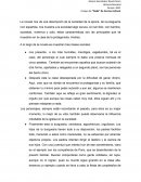 Nada, Carmen Laforet. la época, de la posguerra civil española