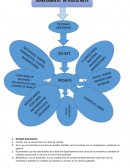 RIESGOS BIOLOGICOS. RIESGOS FISICOS