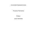 Proyectos Publicitarios