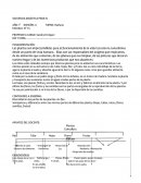Secuencia CS Naturales