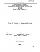 Flujo de Fluidos en Canales Abiertos. EL SALTO HIDRAULICO