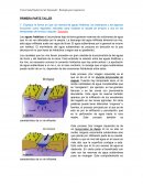 Explique la forma en que los mantos de aguas freáticas, los estanques y las lagunas funcionan como depósitos naturales para moderar el caudal de arroyos y ríos en las temporadas de lluvias y sequias