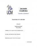 ENSAYO “LEVIATÁN”