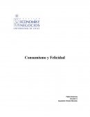 Consumismo y felicidad - Pablo Cisternas