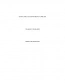 TRABAJO INTEGRADOR TEORIAS DE CONJUNTO