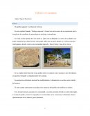 El pueblo mapuche: Los Hijos de la Tierra