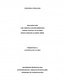 PROGRAMA DE FONOAUDIOLOGIA