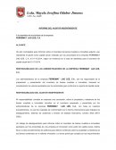 MOdelo de informe contador publico