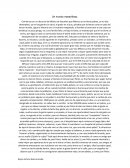 Un mundo maravilloso ensayo