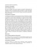 ESTRATEGIAS COMPETITIVAS GENÉRICAS El liderazgo en costos globales