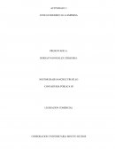 Ente economico o la empresa