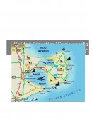 ANIMALES QUE NOS RODEAN