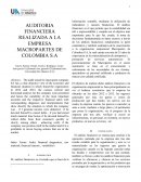 AUDITORIA FINANCIERA REALIZADA A LA EMPRESA MACROPARTES DE COLOMBIA S.A