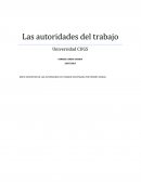 BREVE DESCRIPION DE LAS AUTORIDADES DEL TRABAJO INVESTIGADA POR HERMES CANDIA