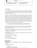 GUÍA DE APRENDIZAJE HISTORIA GEOGRAFIA Y CIENCIAS SOCIALES
