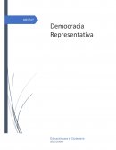 Democracia representativa tiene el mismo objetivo que la directa