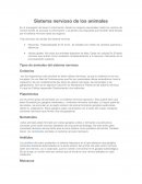 Tipos de animales del sistema nervioso